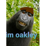 Alfiemontbuddy6