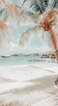 aloha’s~boutique