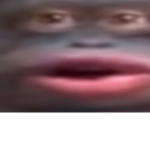 FREE BOBUX (REALLY REAL)