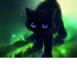 Black~kitty :3