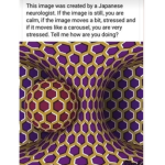 Proof Theory