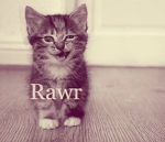 meow'