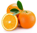 The really Cool orange group