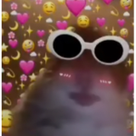 HAMSTERSSS <3