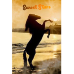 ~ Sunset Stars Academy ~
