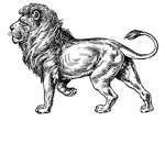 gruppo dei leoni