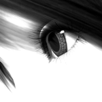 resilent