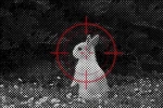 for the plot ! Group Thumbnail