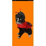 Project Gus Gus!