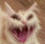 카일의 그룹