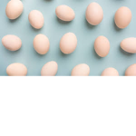 Eggz In the Bag