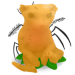 Amber Bingus