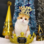 Catty times
