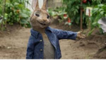 TEAM RABBIT forevver!