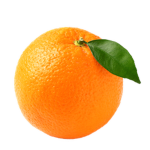 Orange Playz Studio