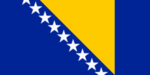 The bosnia and herzogavina group