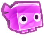 Koxy kornela