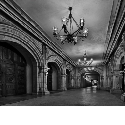 The Endless Hallway (DARK)