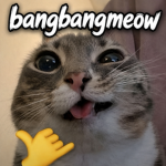 bangbangmeow