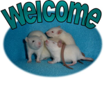 GERBIL GANG :3