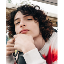 Finn Wolfhard Simulator