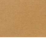 Cardboard Gang