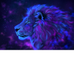 Galaxy Lions United