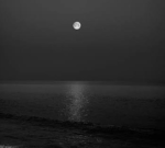 Stars in the ocean