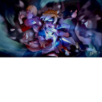 Jace_YT-wow