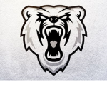 Bear Mask Squad :D