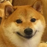 Blank Doge Group