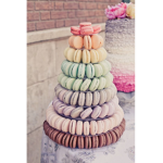 Macaroons Gangs playZ