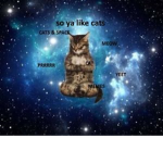 space cats bois