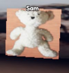 The Following of Sam. (The bear)
