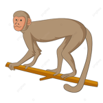 SmallMacaco