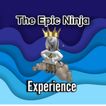 The Epic Ninja Experience