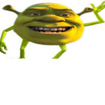 I dont know life