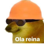 AGENTE MALVAVISCO :3