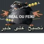 real ou feiki fan group
