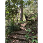 The natural nature group