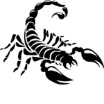Scorpion [Ro-Ghoul]