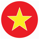 The Vietnamese Boys