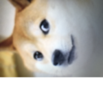 Doge Fan Club :D cool epic WOW