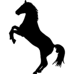 Mystical Riding Academy