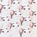 Popp Cats