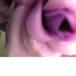 Roses are PURPLE your so sweet like sugar itself