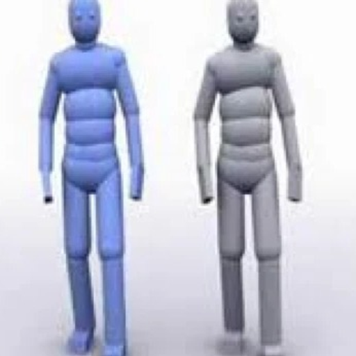 🌸 Realistic Ragdoll