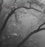 _ _ - ; ; Aოαi Avαtαr Rαnking - _
