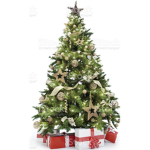 Christmas Trees Group
