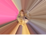 Cool oof boys